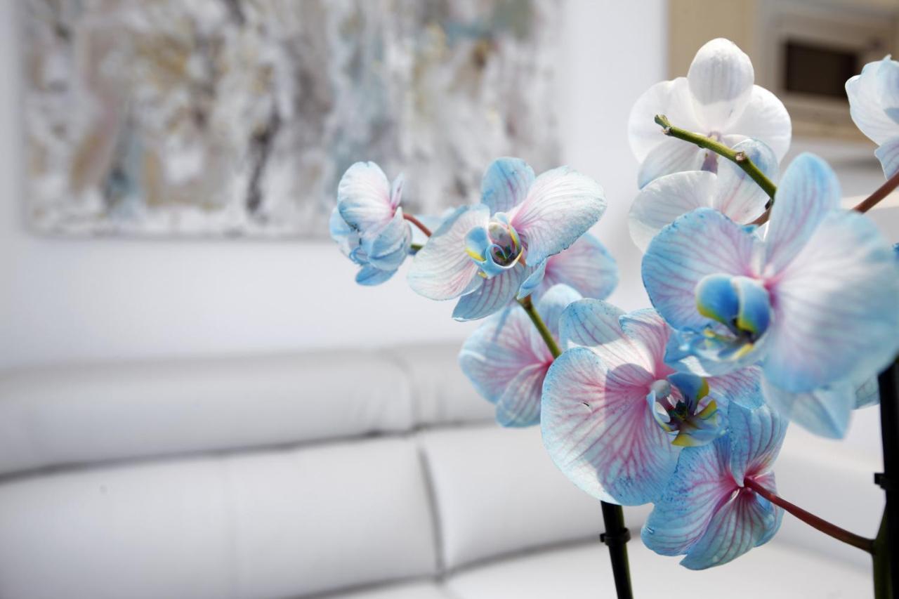 Latina Plaza Apartment Madrid Luaran gambar